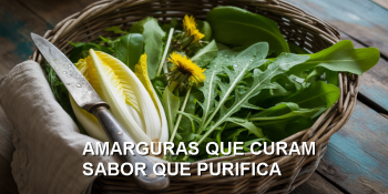 Chicória, rúcula e dente-de-leão: o trio do detox natural